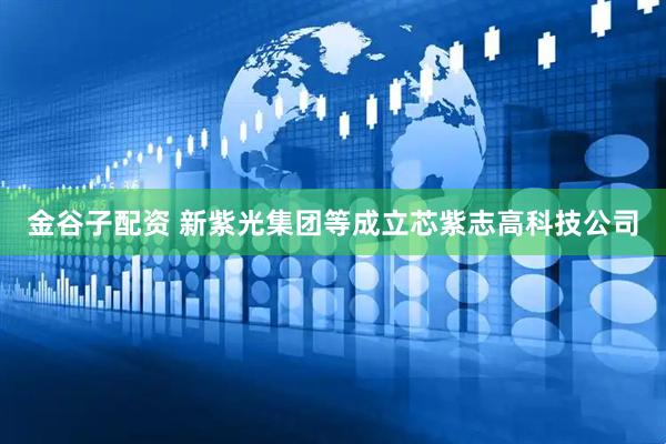 金谷子配资 新紫光集团等成立芯紫志高科技公司