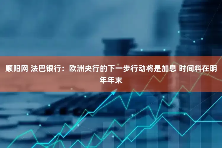顺阳网 法巴银行：欧洲央行的下一步行动将是加息 时间料在明年年末