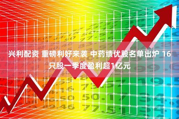 兴利配资 重磅利好来袭 中药绩优股名单出炉 16只股一季度盈利超1亿元
